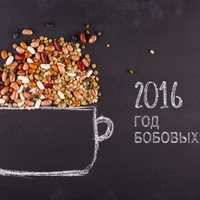 2016 год провозглашен Годом зернобобовых