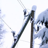 Uzņēmums atzīst savu vainu dižtūjas nozāģēšanā Valles pagastā