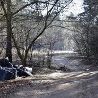 Латвийский фонд природы: Вопросы экологии могут стать основой для интеграции и сплочения общества