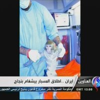 Иран успешно запустил в космос вторую обезьяну