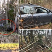 ФОТО: Недалеко от Тинужи Audi перелетел через канаву и повалил несколько деревьев