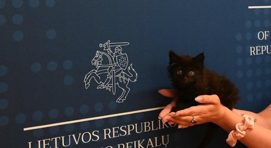 Foto: Lietuvas Ārlietu ministrijā darbu sācis jauns "ierēdnis"