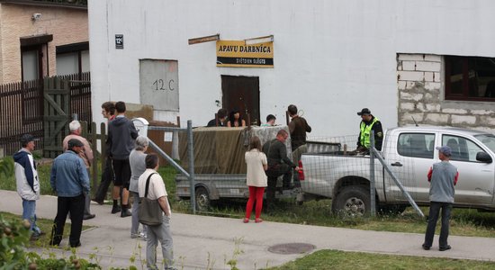 Video un foto: Mežciemā pašvaldības policija apavu darbnīcas teritorijā saķer 15 mežacūkas