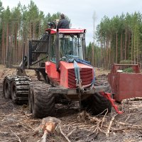 Лесозаготовительные предприятия оштрафованы на 70 тысяч евро за обман Latvijas valsts meži