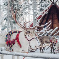 Ieplāno sniegoto Ziemassvētku ceļojumu: 10 galamērķi tepat Eiropā