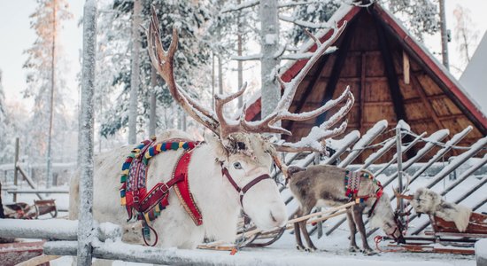 Ieplāno sniegoto Ziemassvētku ceļojumu: 10 galamērķi tepat Eiropā