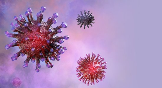 D&G, Цукерберг, Абрамович и другие миллионеры помогают бороться с коронавирусом