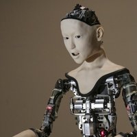 Женившийся на секс-роботе китаец займется производством электронных невест