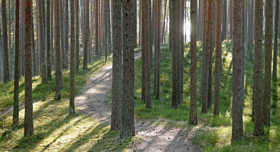 Apstiprināta SIA 'Rīgas meži' valde; uzņēmumu turpinās vadīt Anita Skudra