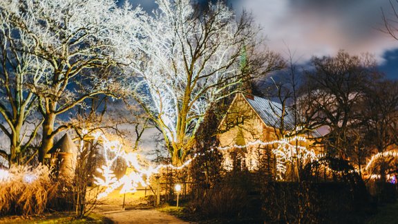 Foto: Krāšņā ziemas pastaigu taka Annas Koku skolā