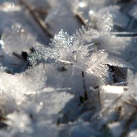 Ученые пугают: в Латвии усилятся холода и снежные бури