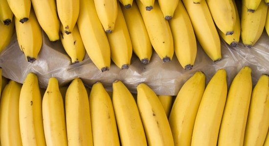 Эквадорские бананы остались без покупателя из-за санкций
