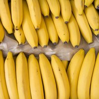 Kā pasargāt banānus no neglītajiem, brūnajiem plankumiem?