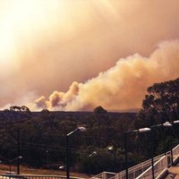 Austrālijas krūmāju ugunsgrēki draud saplūst vienā milzīgā uguns masā