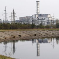 Евросоюз заставил Украину создать в Чернобыле заповедник