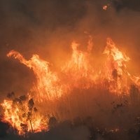 Austrālijas pilsētiņas iedzīvotāji meklē glābiņu no savvaļas ugunsgrēka jūras krastā