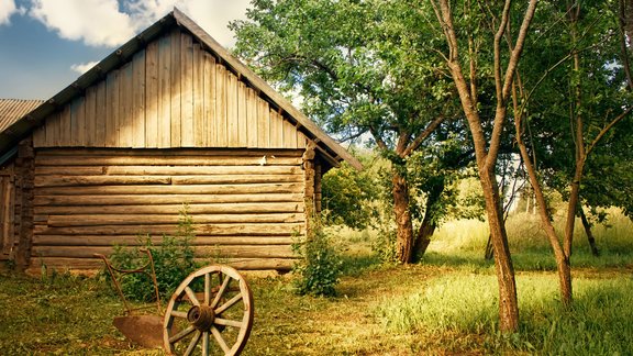 koka māja pagalms lauki