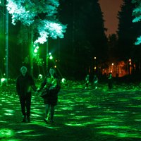 Праздничную подсветку Бикерниекского леса и Анниньмуйжского парка временно прекратят