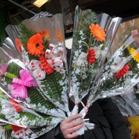 Швейцарский журналист: море цветов на 8 марта в России — сродни продаже индульгенций
