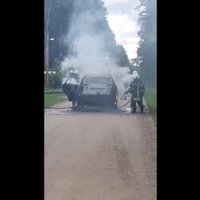 Video: Ozolniekos sadeg automašīna