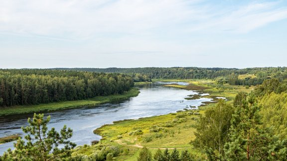 Daugavas loki