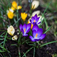 Синоптики: на этой неделе в Латвию придет весна