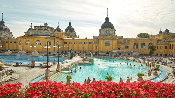 Budapešta spa vasara ziedi baseins