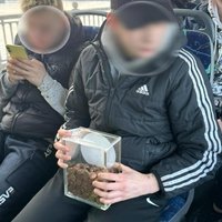 Jaunieši veikalā nozog ziedojumu kastīti un brauc autobusā; policija uzreiz noskaidro personības