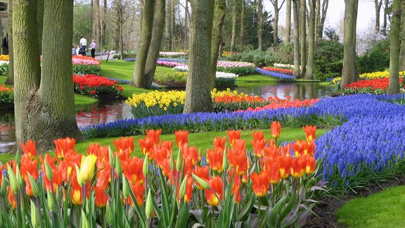 Keukenhof Garden