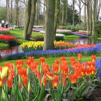 Pasaules lielākie un krāšņākie dārzi un parki - krāsas, smaržas, ornamenti un skulptūras