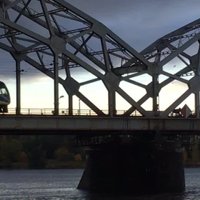ВИДЕО: В Риге по железнодорожному мосту прогуливается лось