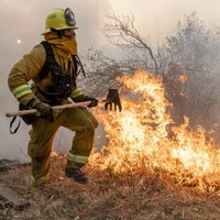 ASV Kalifornijas štatā ugunsgrēku dēļ izsludināts ārkārtējais stāvoklis