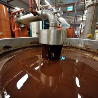 Pasaulē lielākajā šokolādes rūpnīcā Beļģijā atklāta salmonellas baktērija