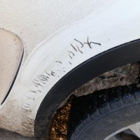 Собака погрызла кузов BMW X5: страховая выплата - 1700 евро