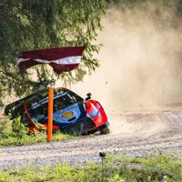 Video: WRC līderis Nevils "iemēģina" Latvijas egles