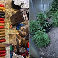 Стрельба в друга из ружья и выращивание марихуаны: в Аллажи задержаны двое мужчин