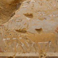 Neparasti krāšņas kapenes paver skatu uz 4300 gadus seniem notikumiem Ēģiptē