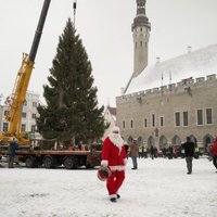 Tallinas Rātslaukumā jau 'ieradusies' Ziemassvētku egle