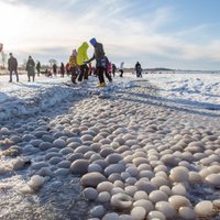 ФОТО. Необычное явление: побережье Южной Эстонии "засыпало" ледяными шариками
