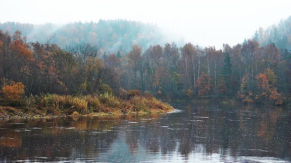 Gauja rudens rītā