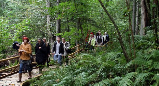 Slīteres silu un līvu krasta burvība. Dabas brīnumi un ceļotāju iespējas Latvijas vecākajā dabas parkā