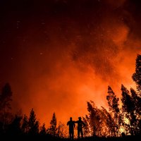 Лесные пожары на Гавайях: более 100 погибших