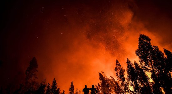Лесные пожары на Гавайях: более 100 погибших