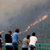 Plašais mežu ugunsgrēks Portugālē daļēji pakļauts kontrolei