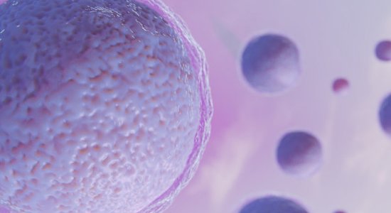 Ученые вырастили почти человеческий эмбрион. "За" и "против"