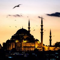 ЕП призывает остановить отмену виз для Турции