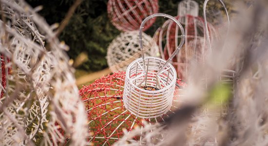 Kādā svētku rotā šogad saposušās un ar ko decembrī pārsteigs Latvijas lielākās pilsētas?