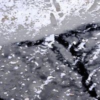 Jelgavā policija uz ledus izglābj pašnāvnieku
