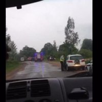 ФОТО, ВИДЕО: На дороге столкнулись пикап и лесовоз, водители госпитализированы