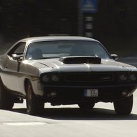 Video: Timrots sajūsmā par Kulberga 73. gada 'Dodge Challenger' muskuļauto